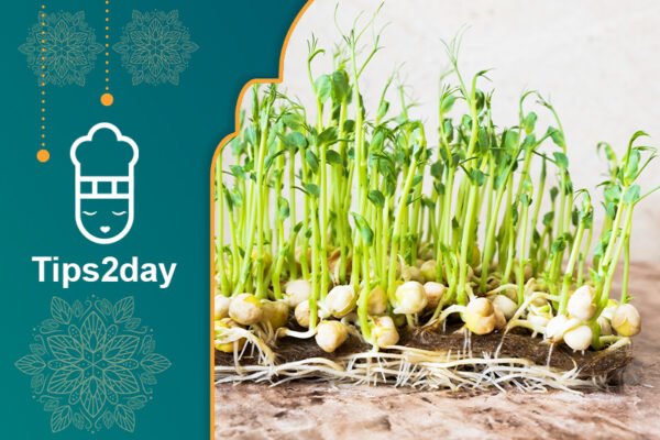 Dinner chicken dish and assorted foods on a dark background, showcasing a delicious meal setup.